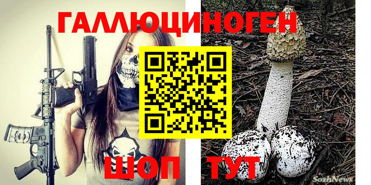 Галлюциногенные грибы Cubensis Зеленогорск