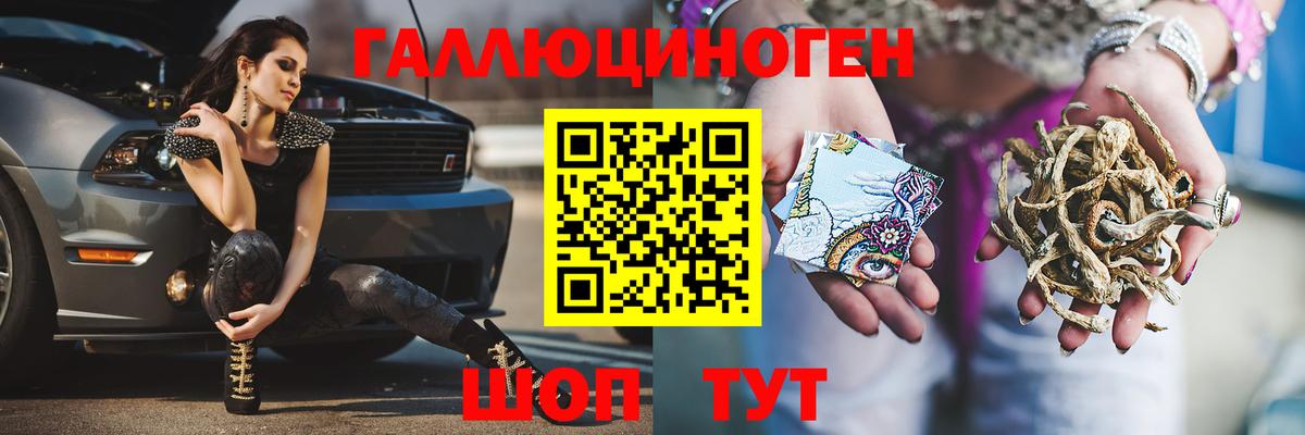 сколько стоит  Вход с VPN  Зеленогорск  Псилоцибиновые грибы Cubensis 